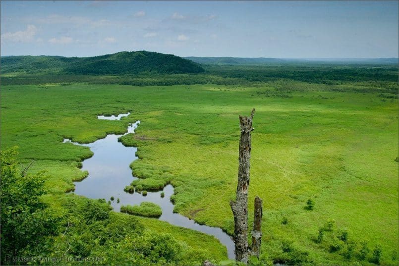 Kushiro Marsh