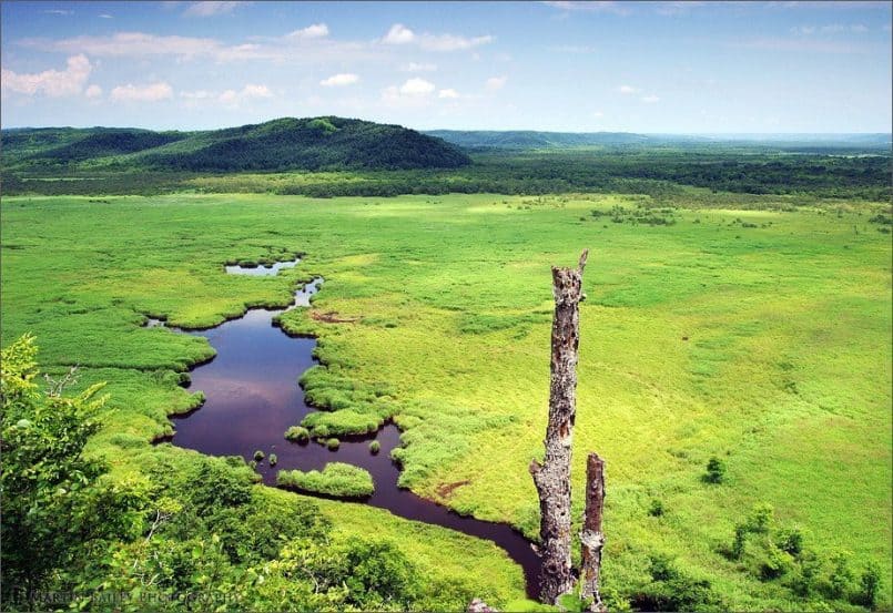 Kushiro Marsh