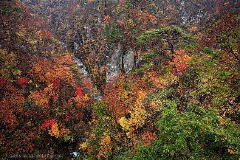 Rainy Naruko Gorge from Bridge