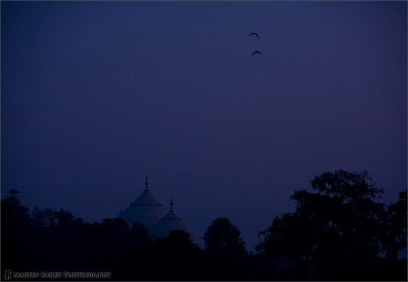 Distant Domes