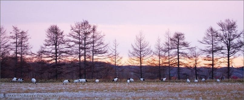 Sunset on Tsurui