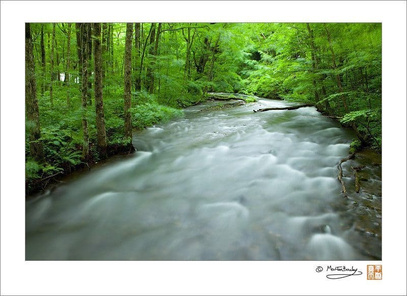 Oirase Mountain Stream