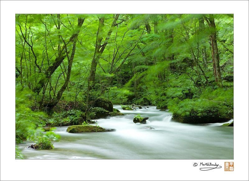 Oirase Mountain Stream