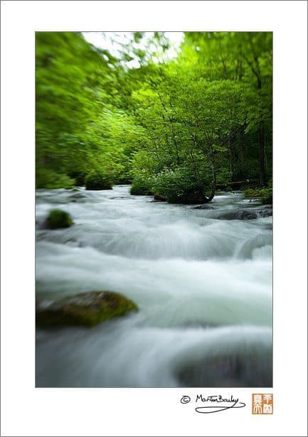 Oirase Mountain Stream (Lensbaby @ F11)