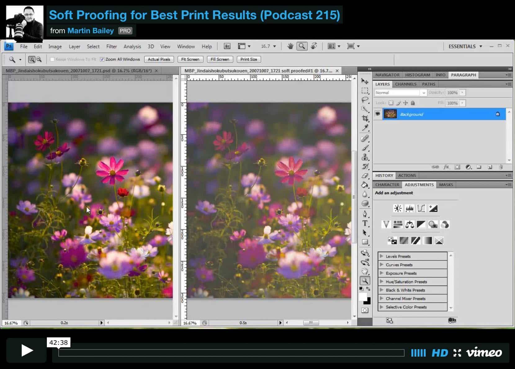 Podcast 215 : Soft Proofing for Best Print Results