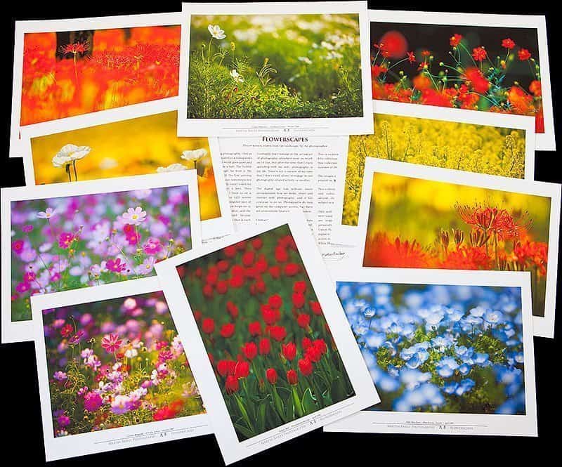 Flowerscapes Folio Prints