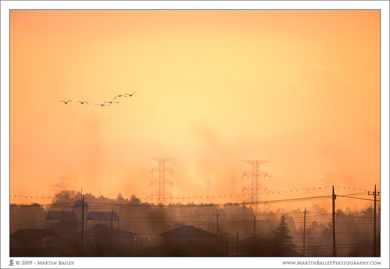 Pylon Sunrise - Looking Ahead