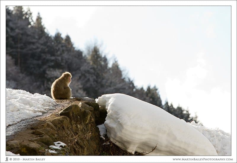 Surveying the Valley