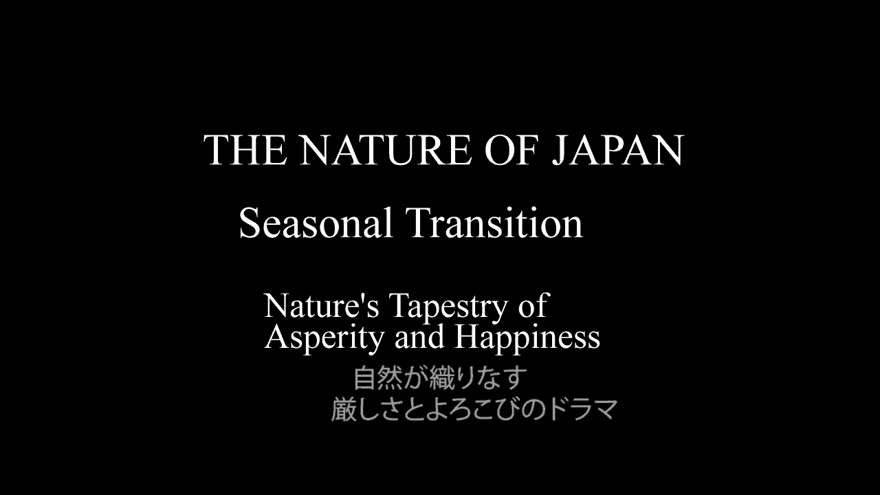 Podcast 272 : “The Nature of Japan” Exhibition Slideshow (Video)