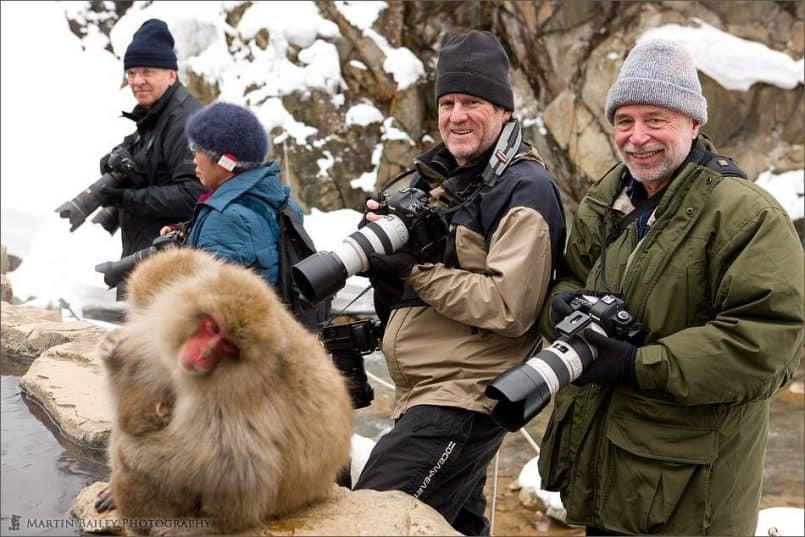 At the Snow Monkeys