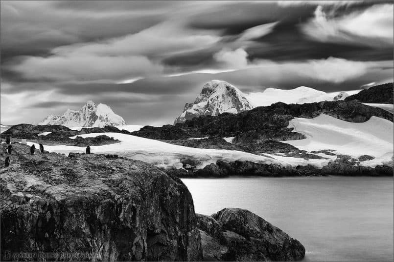 Antarctica from Gentoo Point