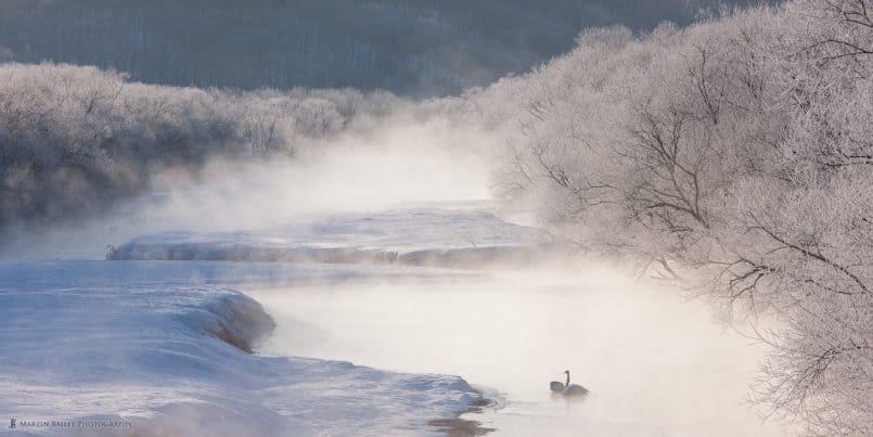 Dawn on the River