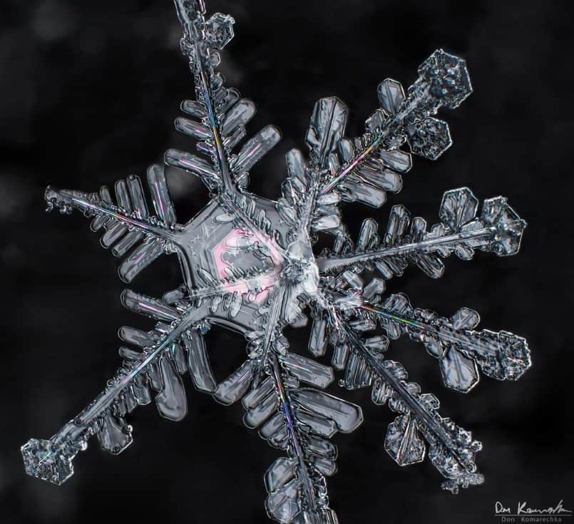 Snowflake - Don Komarechka