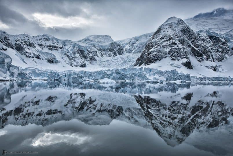 Glacier in "Paradise"