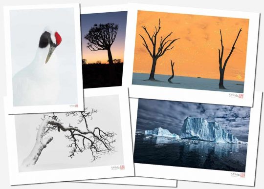 Martin Bailey Fine Art Prints