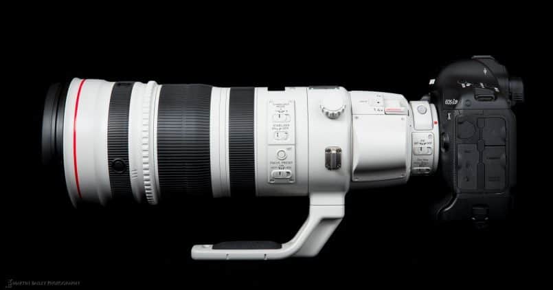 Canon EF 200-400mm F4 L Extender 1.4X Lens