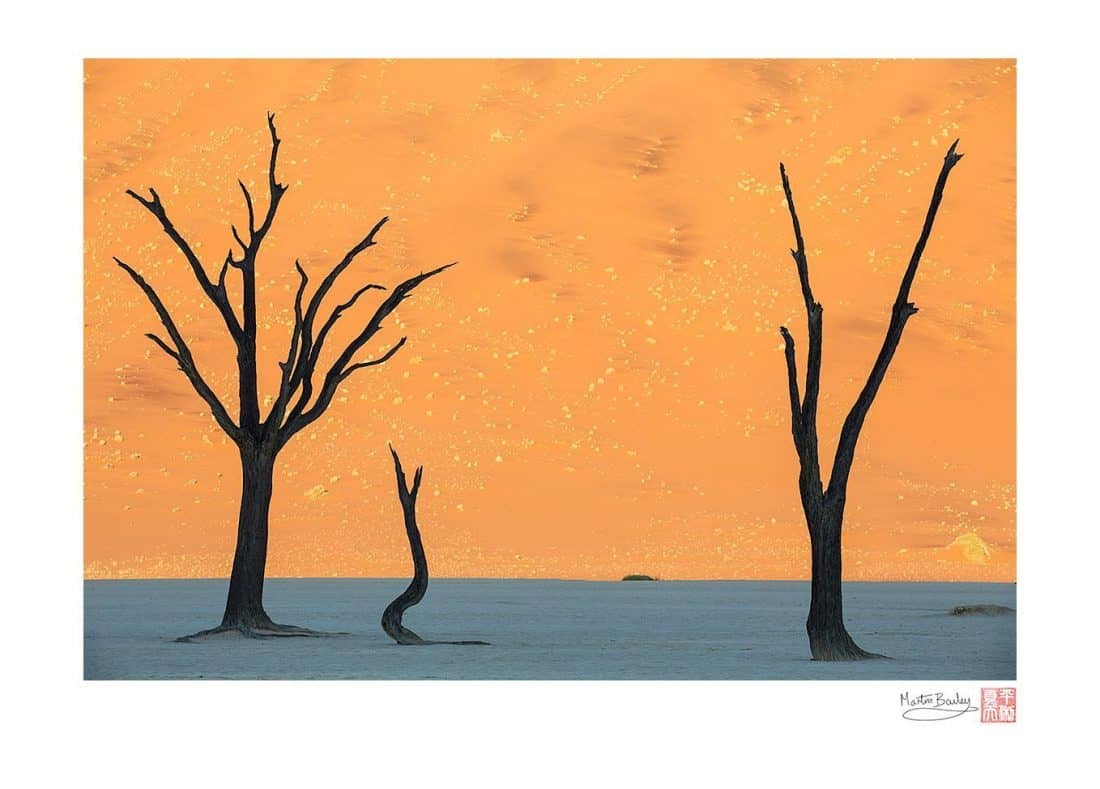 Deadvlei Silhouettes