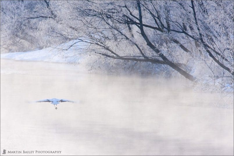 Angel's Wake