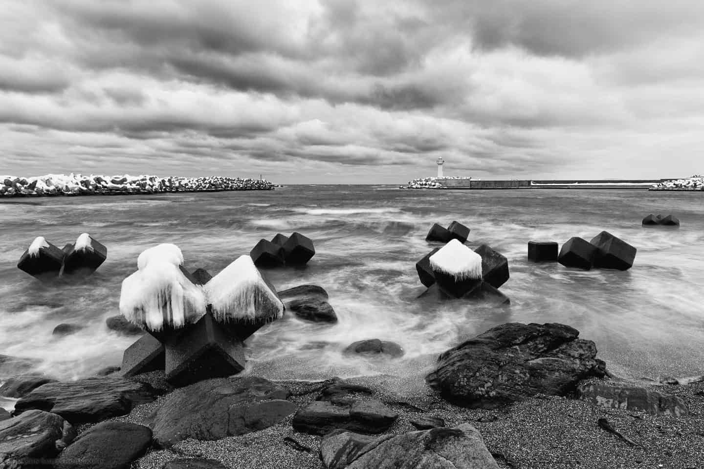 Ohmu Port with Tetrapods