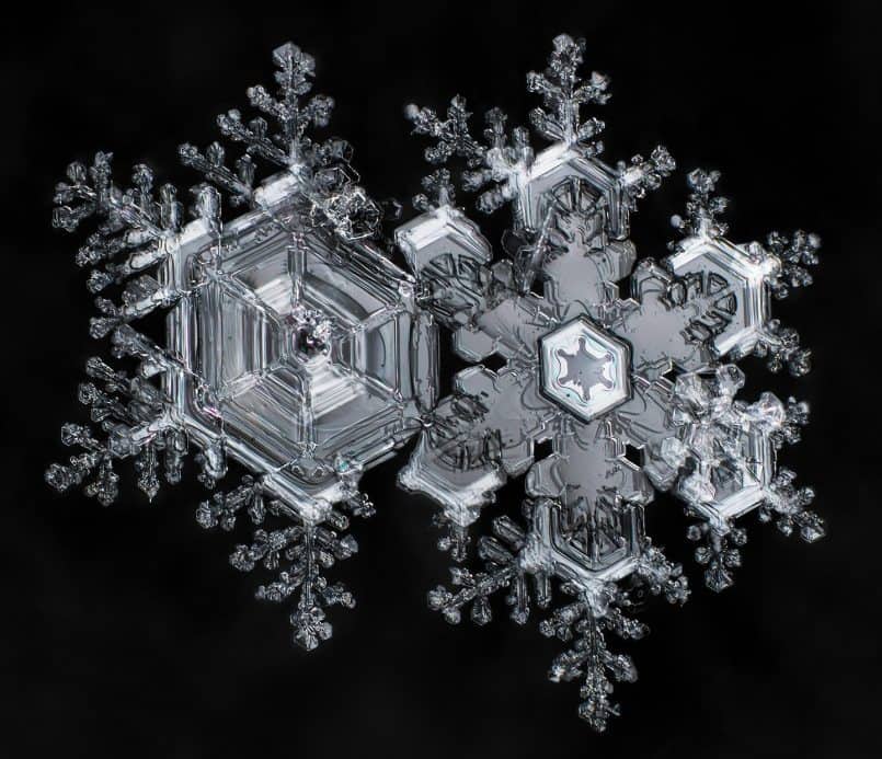 Snowflakes © Don Komarechka