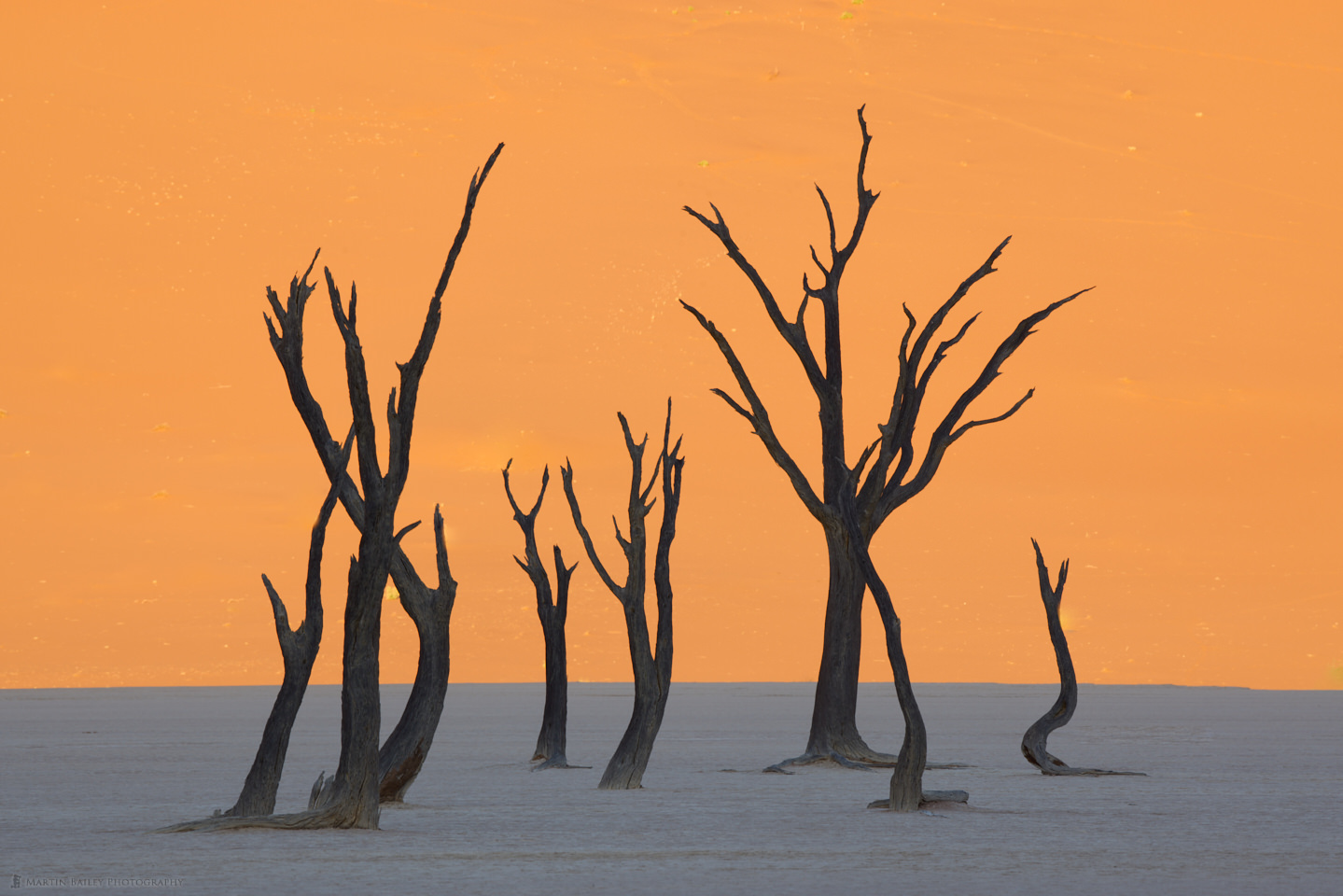 Deadvlei Congregation