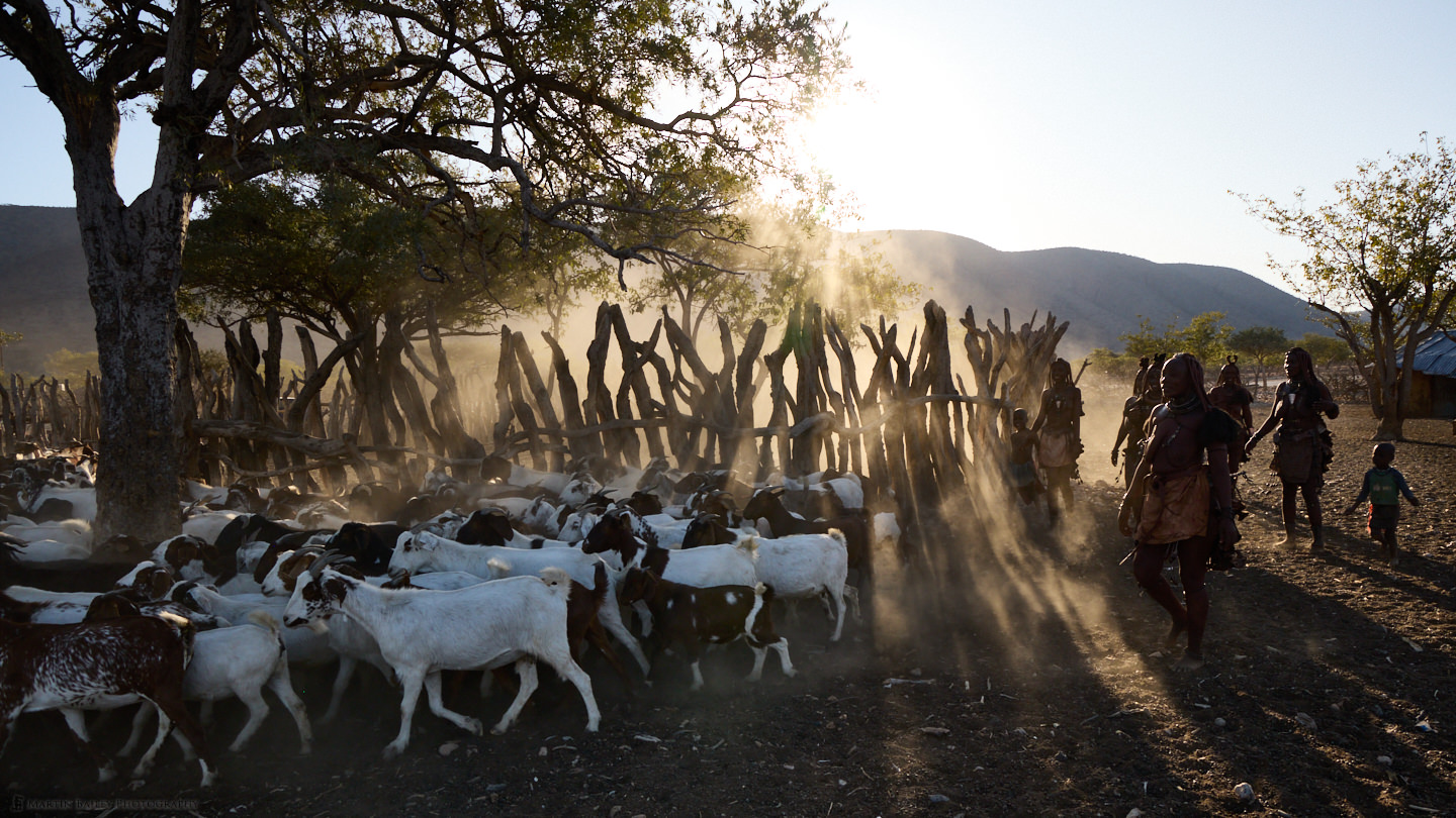 Sun Rays through the Corral