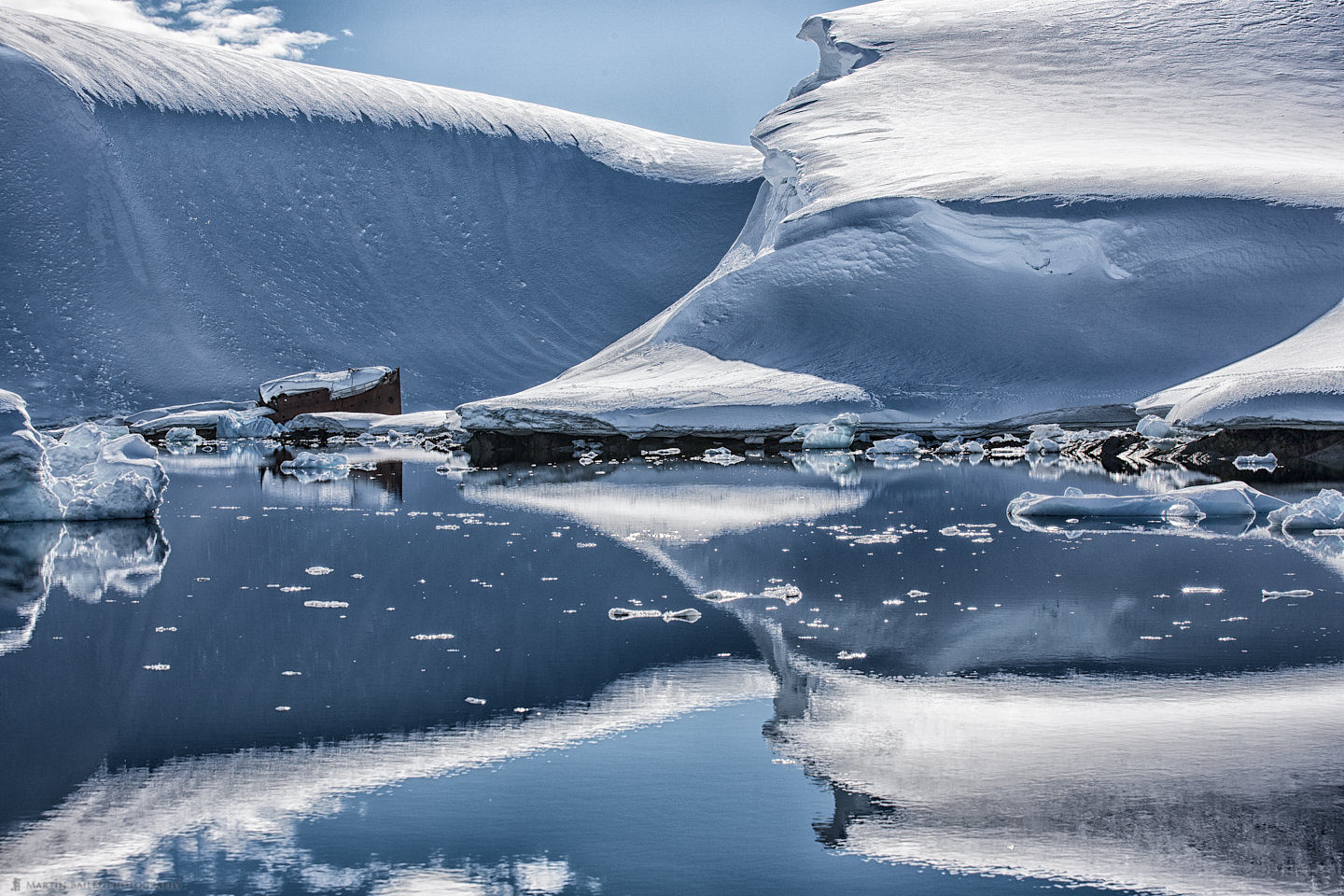 Whaler Reflection