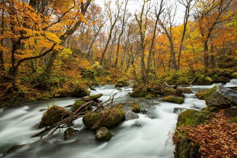 Oirase Keiryu (Mountain Stream)