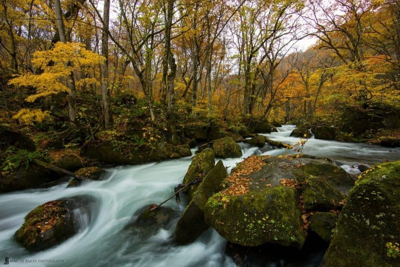 Oirase Keiryu (Mountain Stream)