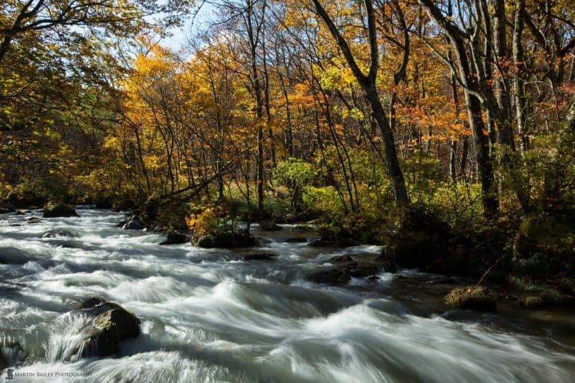 Oirase Keiryu (Mountain Stream)