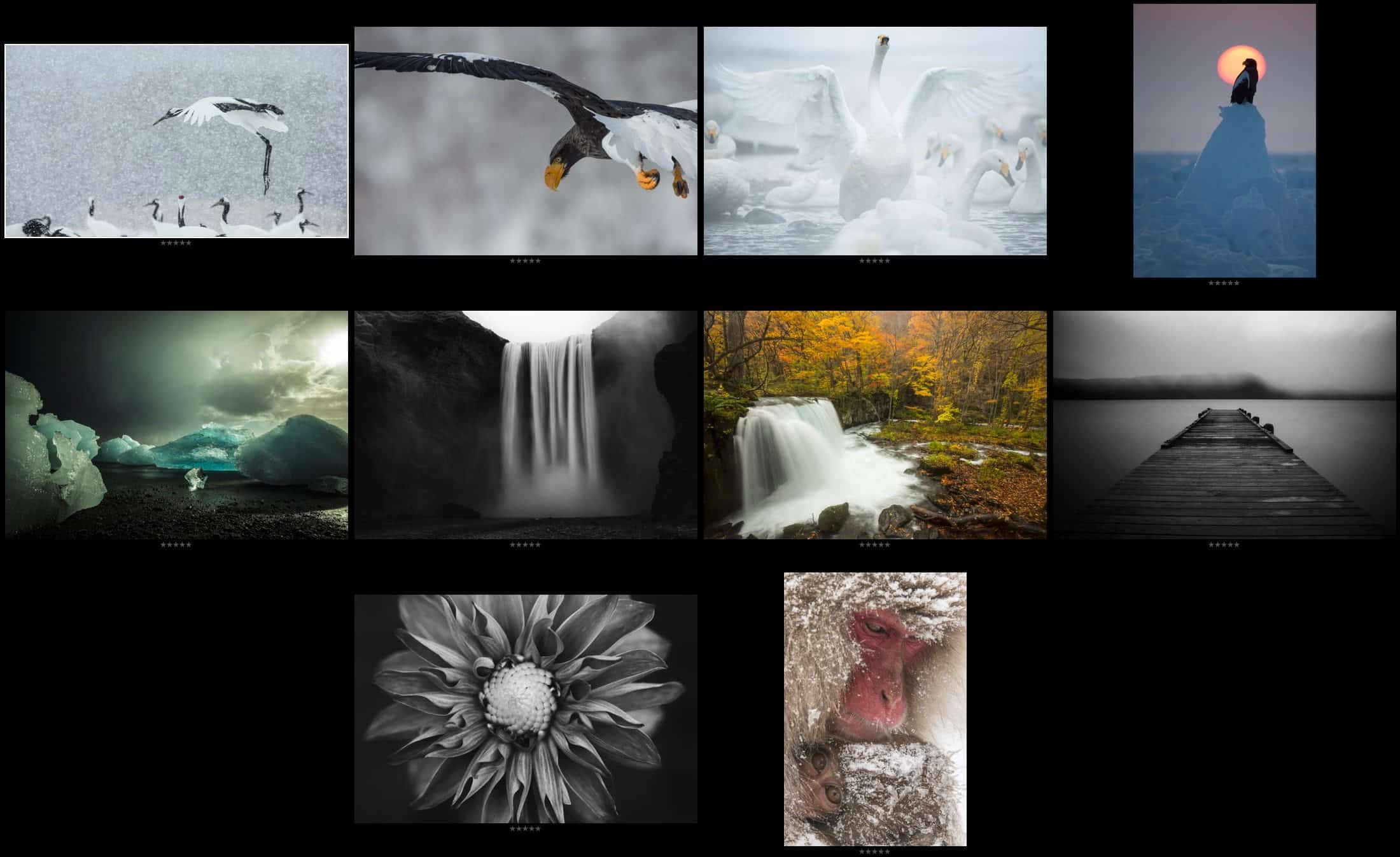 2014 Top Ten Photographs Selection Process (Podcast 454)