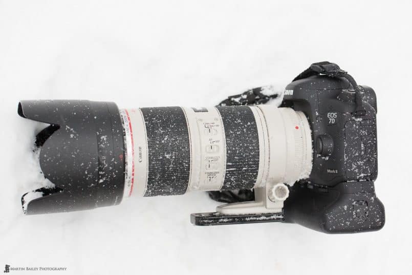 7D Mark II in Snow