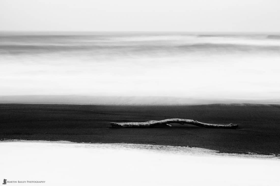 Driftwood on Snowy Beach