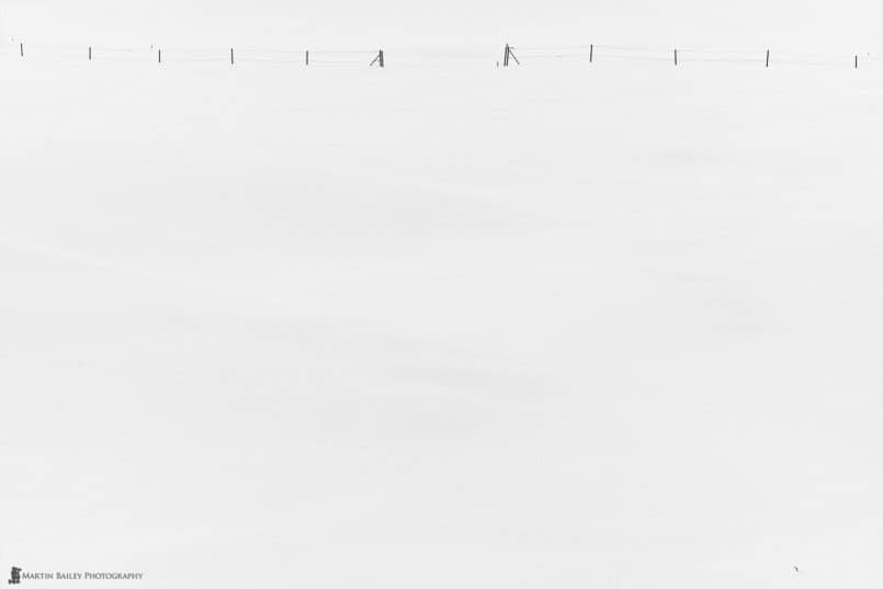 Fence in Snow