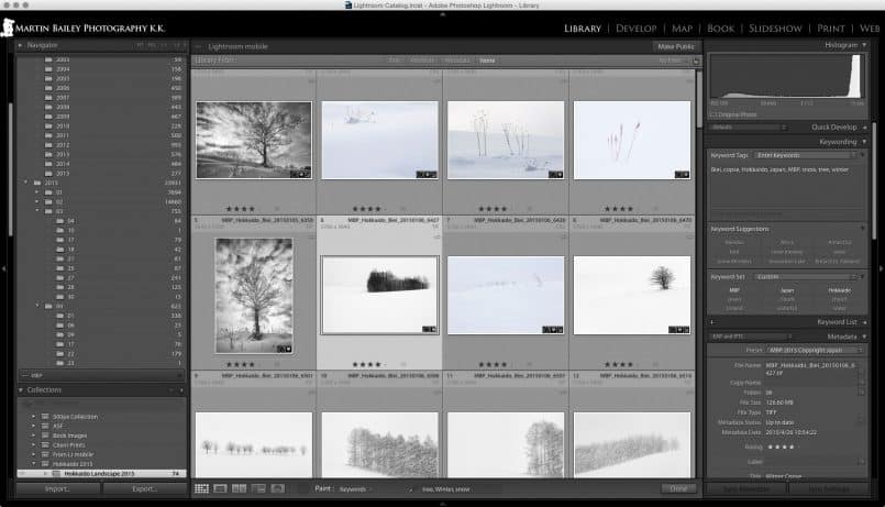 Lightroom Keywording