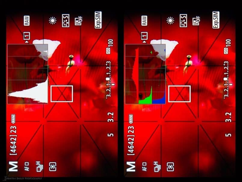 RGB and Brightness Histogram Comparison