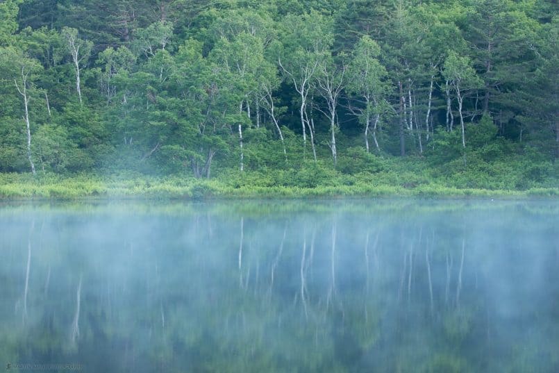 Ichinuma with Dawn Mist