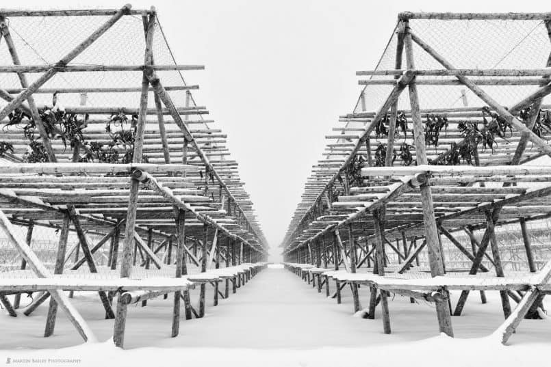 Fish Drying Racks in Snow