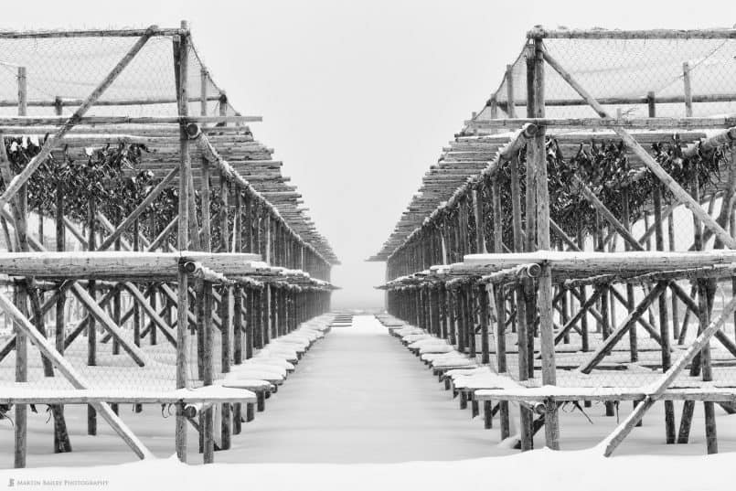 Fish Drying Racks in Snow