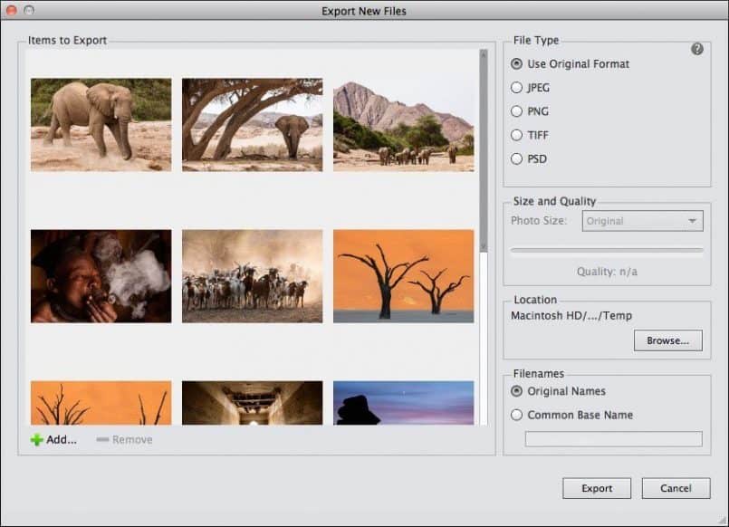 Photoshop Elements - Export Originals
