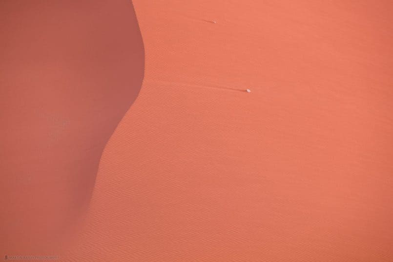 Skull on Dune