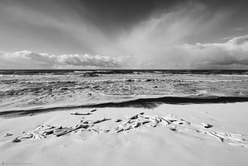 Driftwood Under Snow