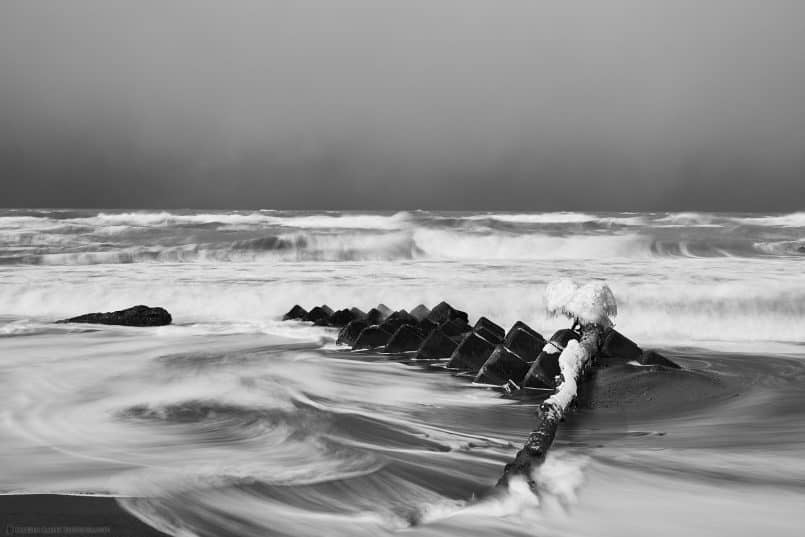 Obira Tetrapods with Tree Trunk