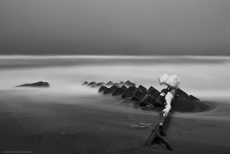 Tetrapods and Driftwood