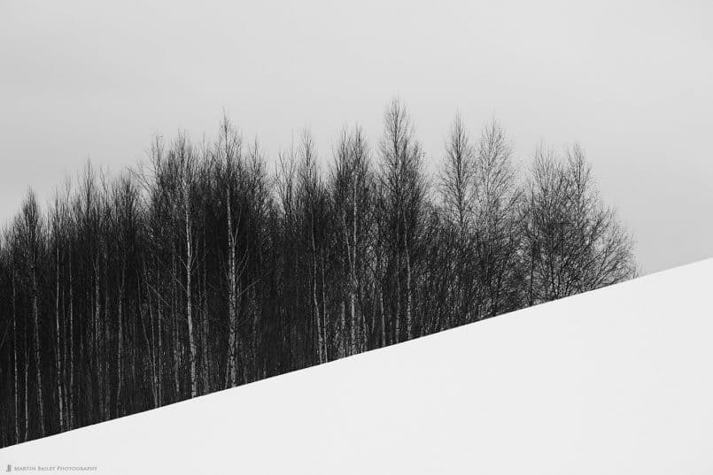 Copse on Hill