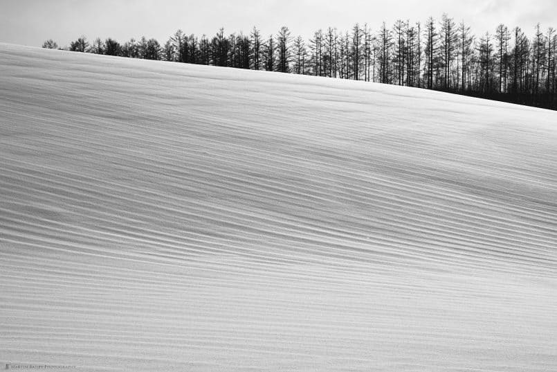 Plough Lines Under Snow