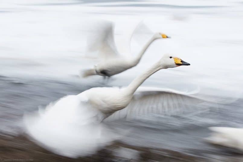 Serious Panning