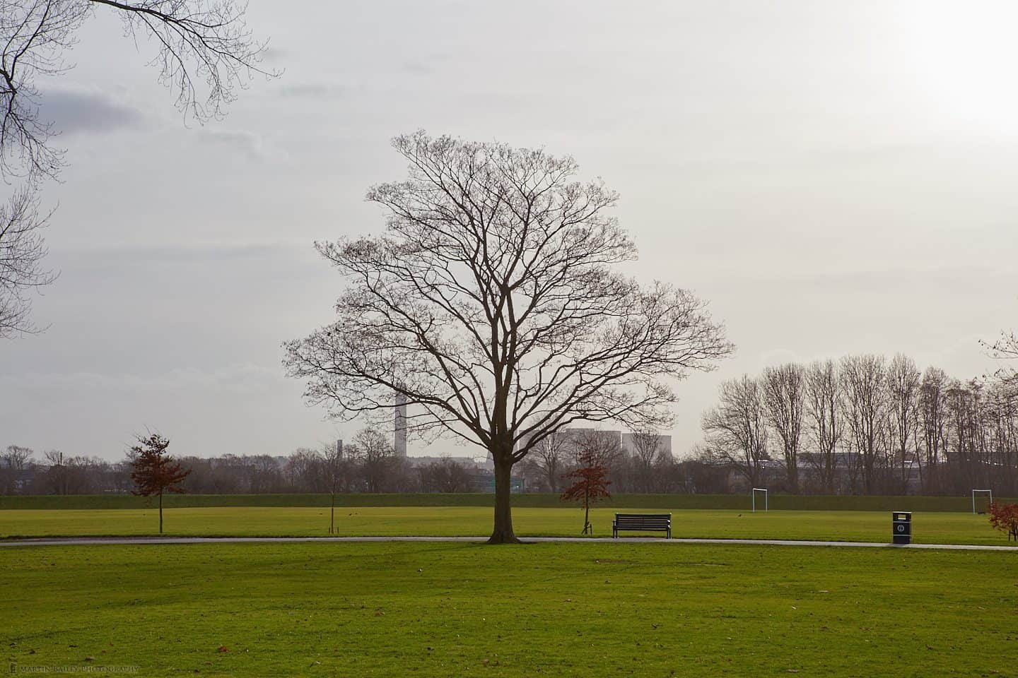 Tree and Power Station (70mm from 70m)