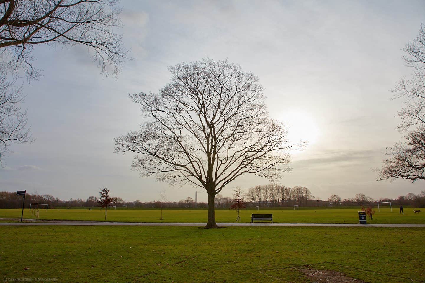 Tree and Power Station (24mm from 25m)