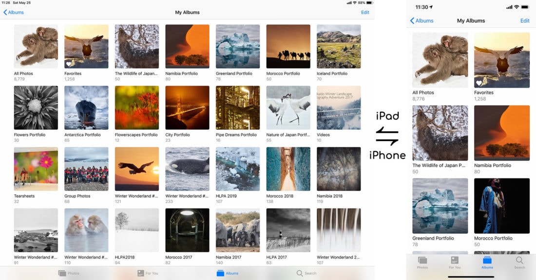 Portfolios on iOS Devices